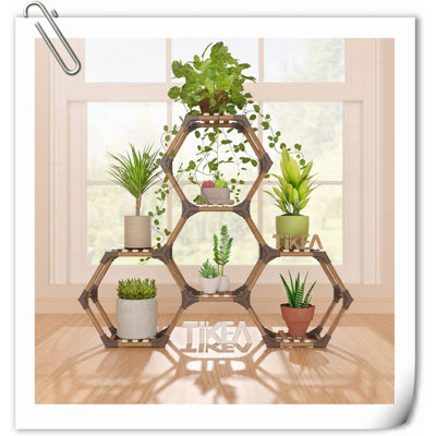 Support à plante pour plante d'intérieur et d'angle pour plante grasse