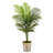 60'' Faux Palm Tree in Wood Planter