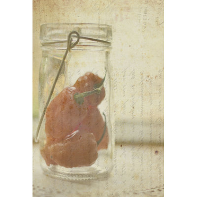Nature morte aux herbes V