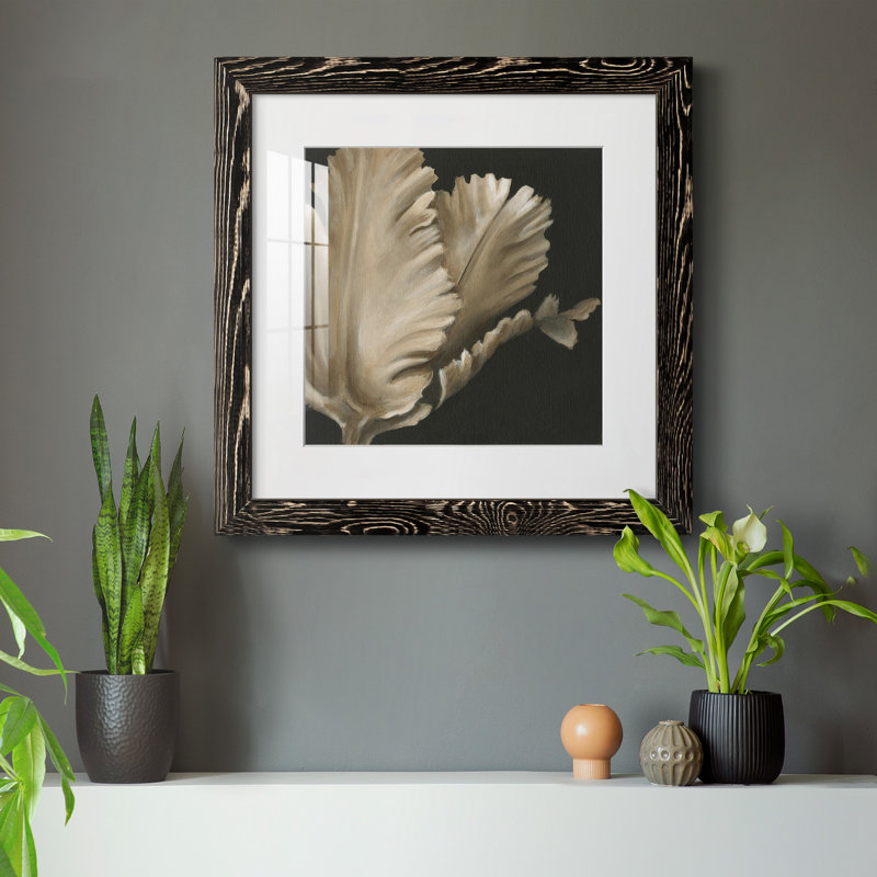 «Classical Blooms I-Premium», reproduction encadrée prête à être accrochée, Noir, H 35,5 po x l 35,5 po x P 1,5 po