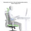 Rebrilliant Office Chair