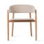 Mona Outdoor Dining Armchair