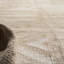 Area Rug in Ivory/Oatmeal