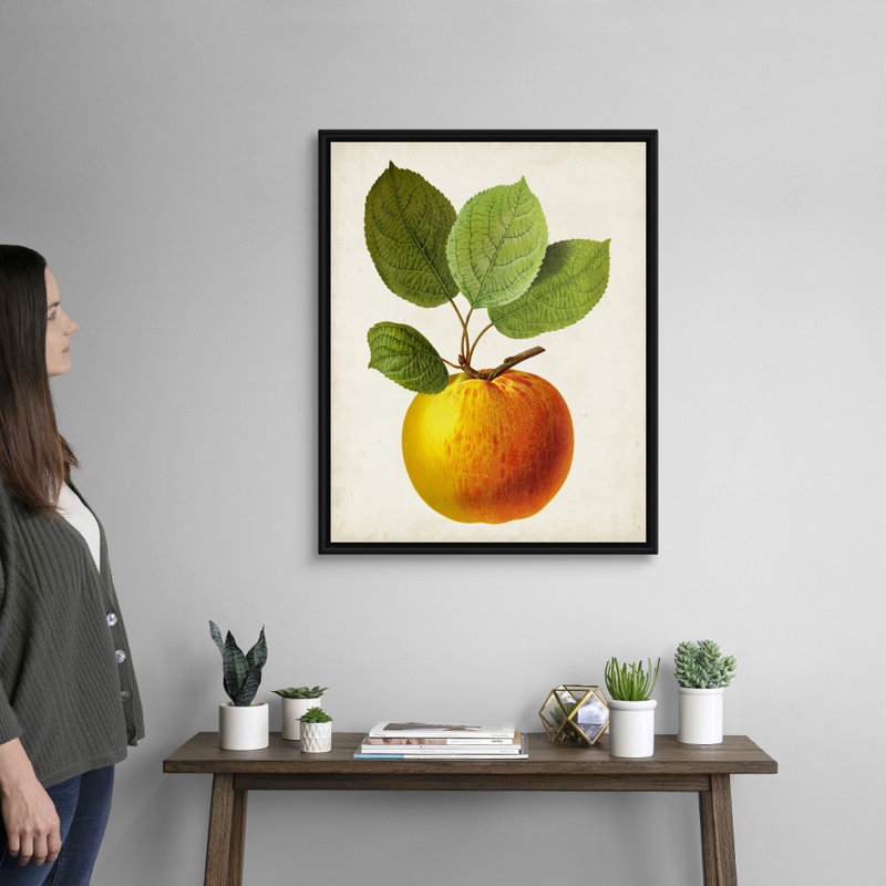 Antique Fruit I - reproduction d'art sur toile, H 31,7 po x l 25,7 po x P 1,75 po, Cadre flottant noir