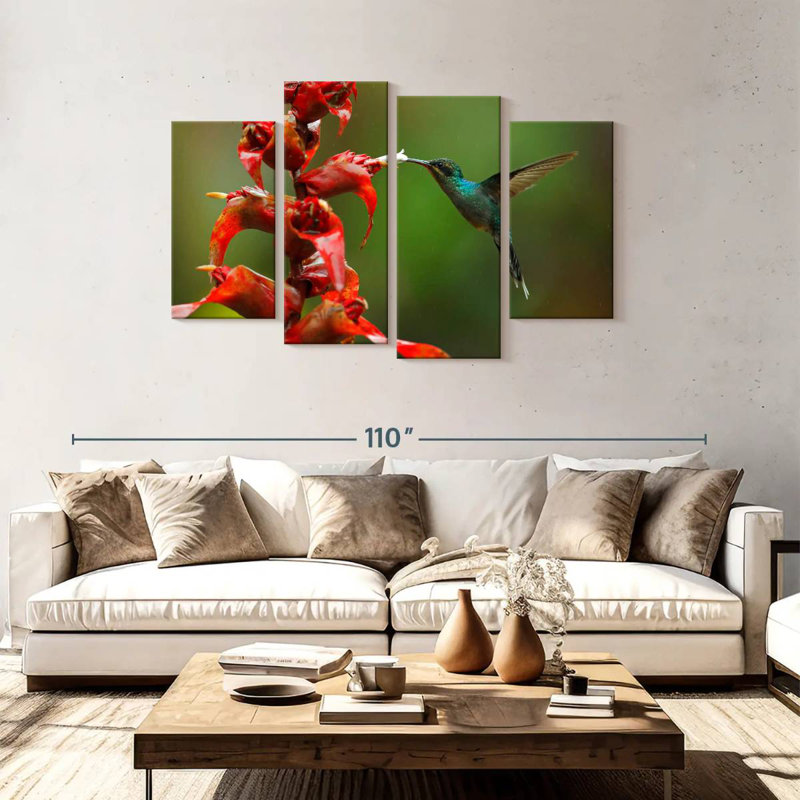 Collation de fleurs de colibri Brampt