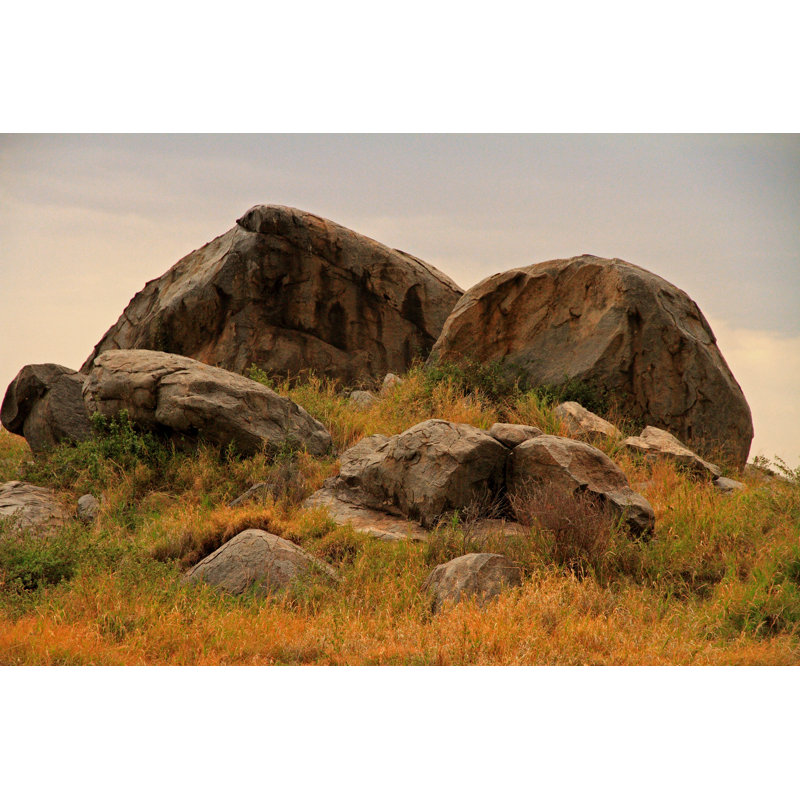 African Rock Kopje by RyanFaas - Wrapped Canvas Print, 61cm H x 91cm W