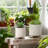 Set of 2 Ceramic Planters Indoor and Outdoor-405657624-405657623