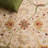Dunbar Hand Tufted Wool Oriental Rug-807306058