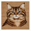  Tapis asiatique lavable à poils longs-2013848255