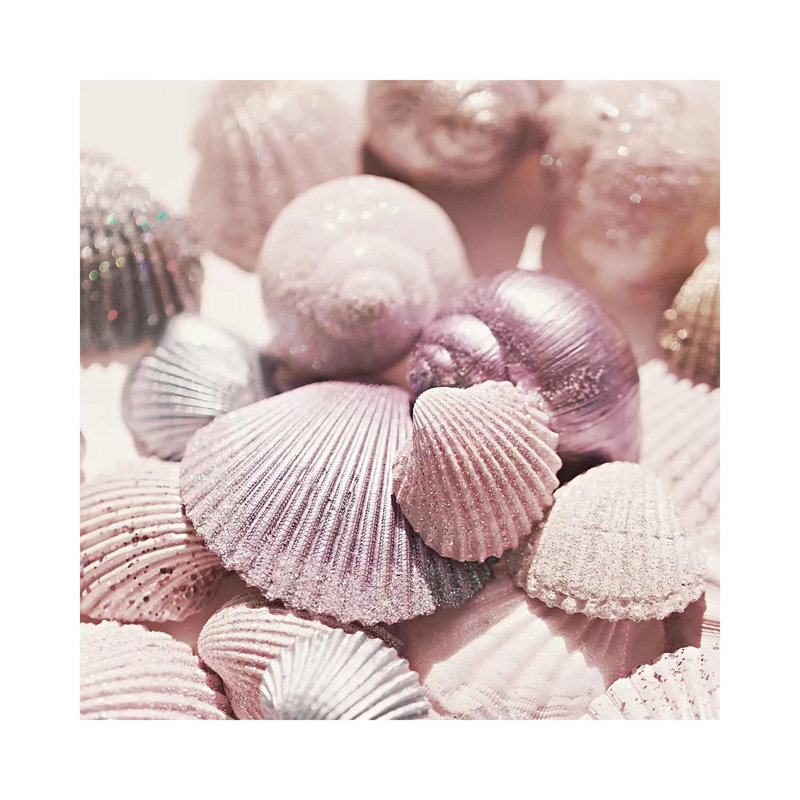 Shells And Glitter by Monika Strigel - Print on Canvas, 45.72cm H x 45.72cm W x 3.81cm D, Wrapped Canvas