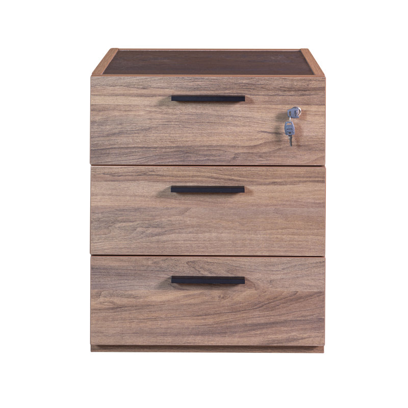 Brndon 50cm Wide 3 -Drawer File Cabinet