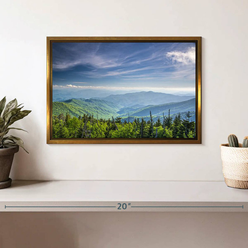 Clingmans Dome, paysage de montagne, Cadre flottant doré, 13 po x 9 po