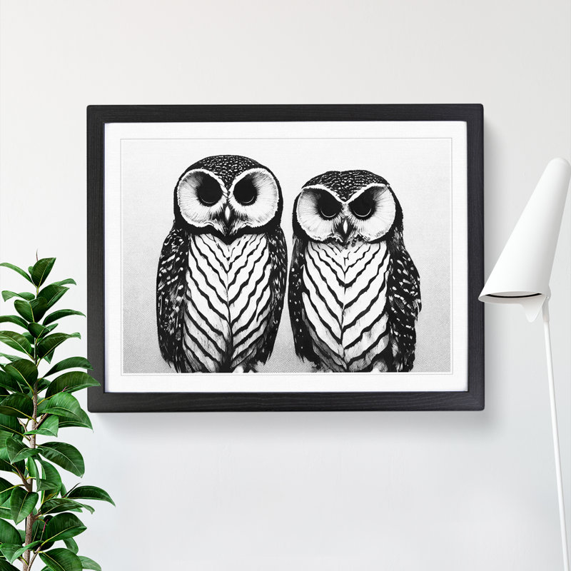 Monochrome Owls Vol.3 - Framed Print, Black Framed, 46cm H x 64cm W x 2cm D