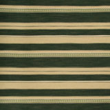 Entoto Stripe Fabric