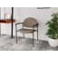 Chaise d'invité Chat Chat-98671299-98882108