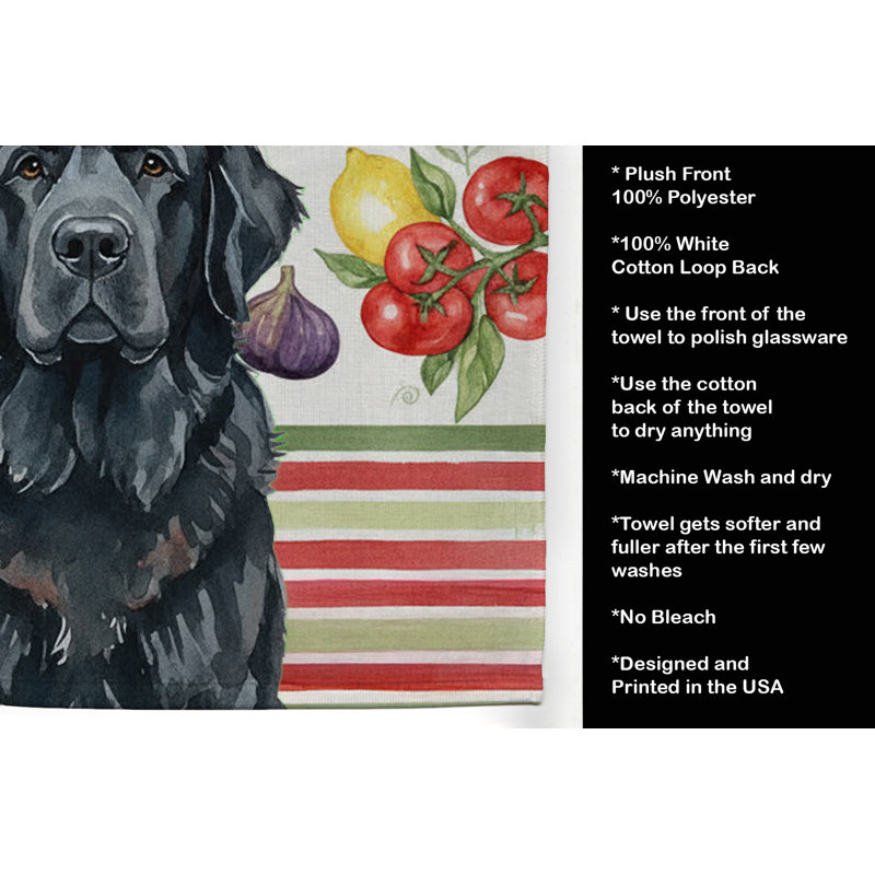 Torchon noir noir, Black Newfoundland