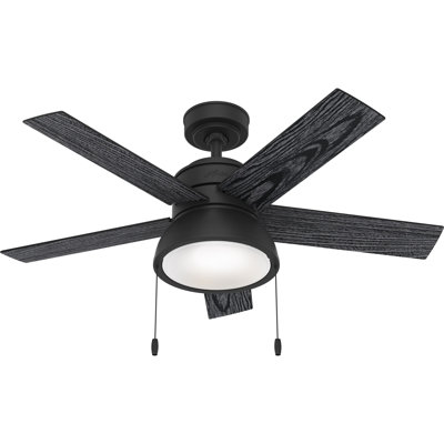 Ventilateur de plafond standard à 5 pales de 44 po avec lumières et chaînes de traction Lilliput