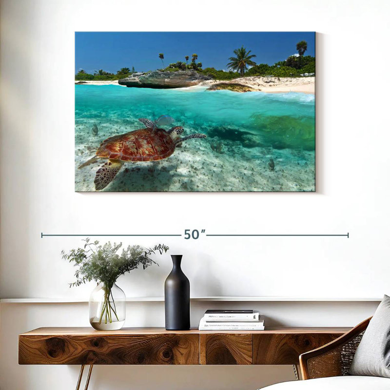 Caraïbes, île des tortues, H 26 po x l 39 po