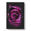 Striking Purple Rose - Wrapped Canvas-56645294