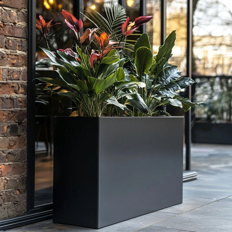 Reny Galvanised Zinc Trough Planter, 60cm H x 90cm W x 60cm D, Black