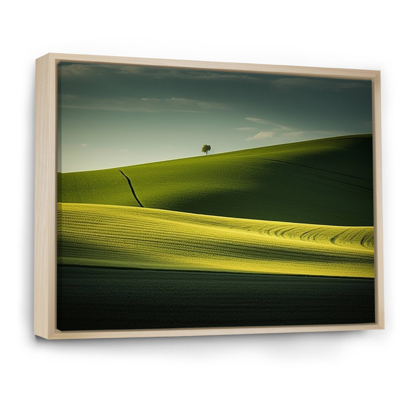 Photo de prairie monochrome verte sur toile, Cadre naturel flottant, H 34 po x l 44 po