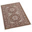Oriental Indoor / Outdoor Area Rug-1027322901