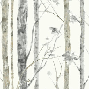 Rouleau de papier peint adhésif 16,5 pi x 20,5 po Ballywillin Birch Tree