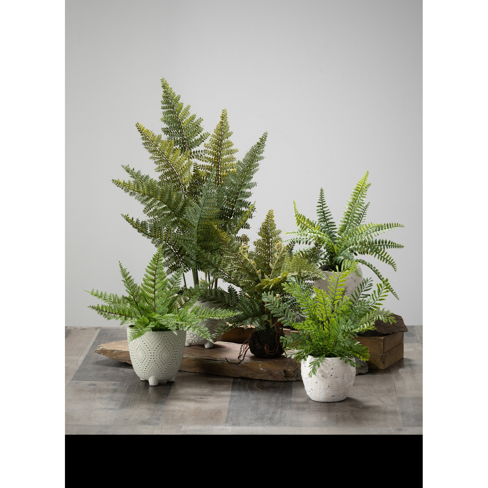 11 " Fern Plant with Base Included