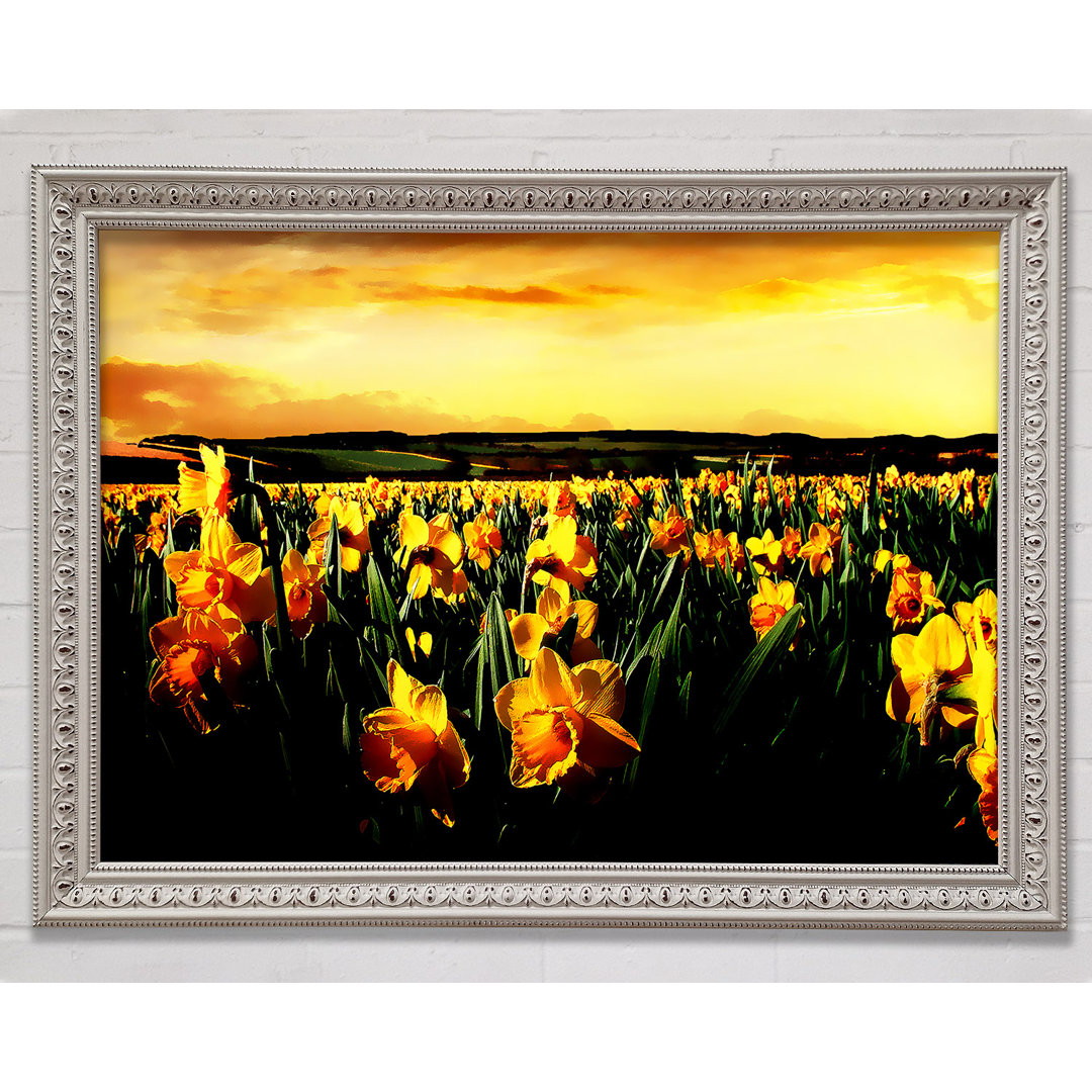 Field Of Golden Daffodils - Einzelner Bilderrahmen Kunstdrucke