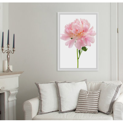 Rose - Single Picture Frame Print