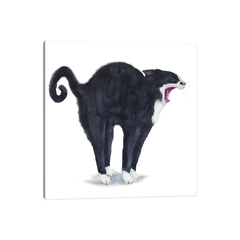 Tuxedo Stretching Cat by Alexey Dmitrievich Shmyrov - Wrapped Canvas Print, 45.72 cm H x 45.72 cm W x 1.91 cm D