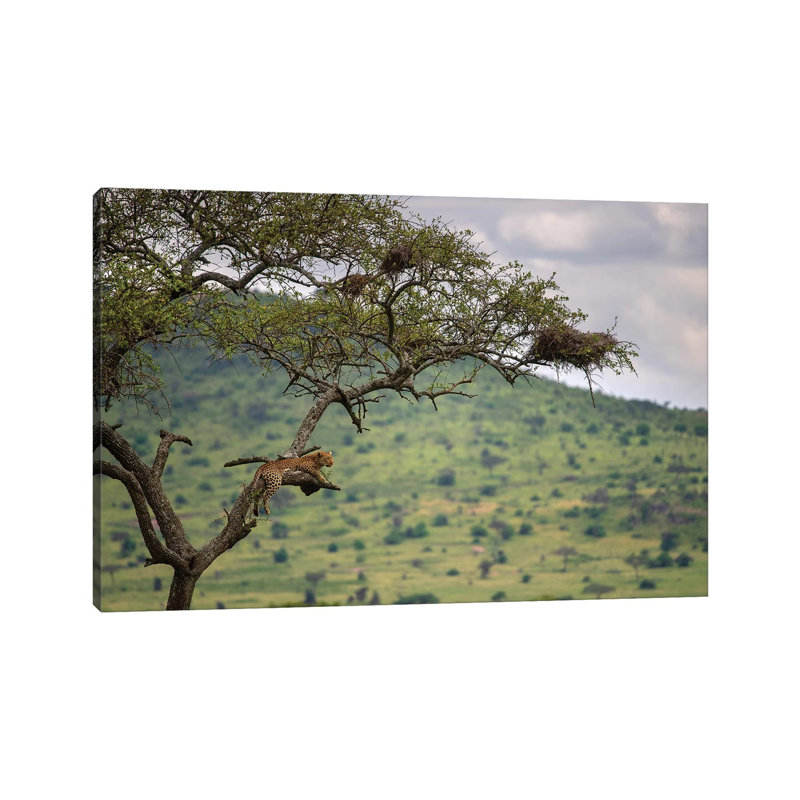 At the Edge 1 Piece Wrapped Canvas Wall Art, 101.6 cm H x 66.04 cm W x 1.91 cm D