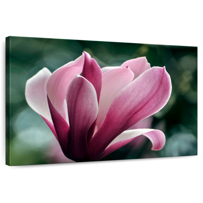Harnek Blooming Magnolia Flower, 26" H x 39" W