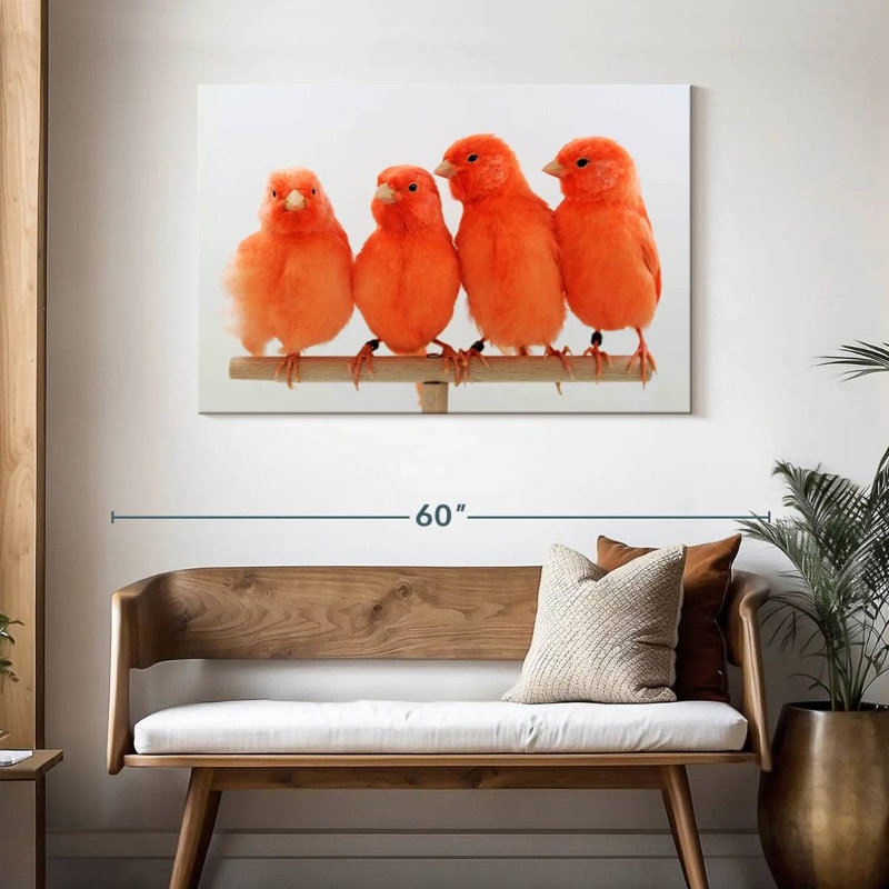 Canari rouge Brampt, H 30 po x l 45 po