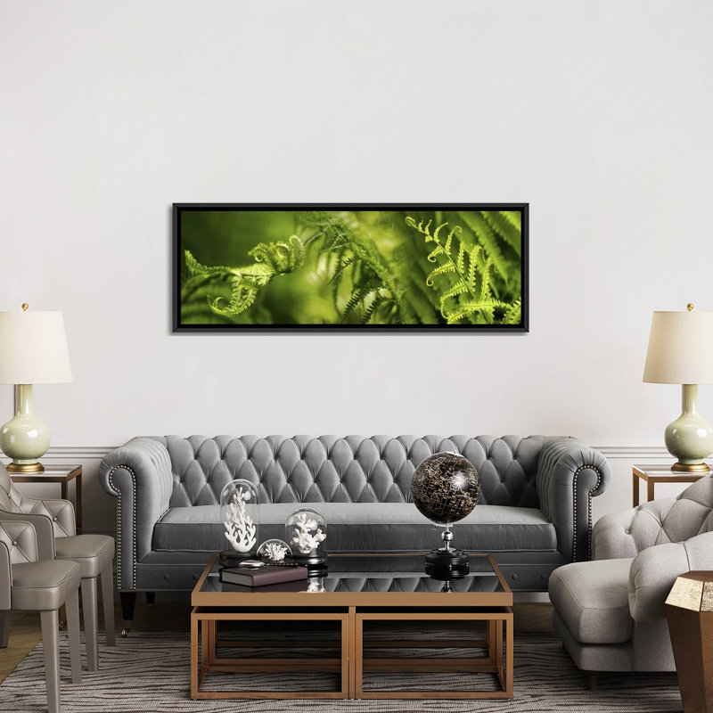 « close-up of multiple image of ferns », reproduction de photo sur toile, H 20 po x l 60 po x P 1,5 po, Cadre noir