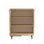 Baneen 8 Pair Shoe Storage Cabinet-1951867859