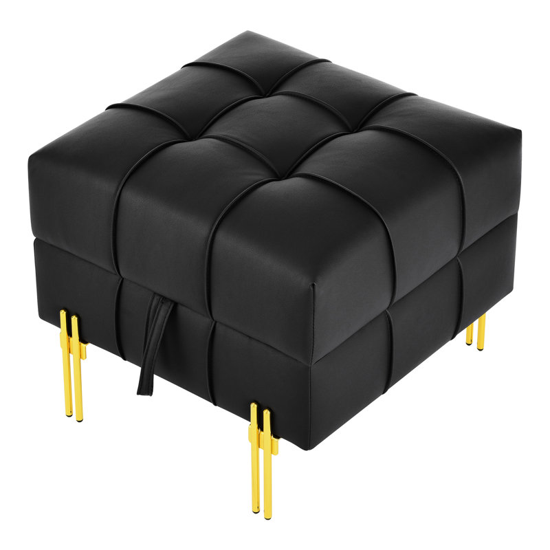 Rangement en cuir Scratch pour animal de compagnie - entrée noire - 22 po, banc en acier inoxydable doré noir, Noir
