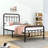 Athel Twin Metal Slat Headboard Bed