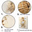 Hippocampe magique beige III sur toile-12661377-12661386