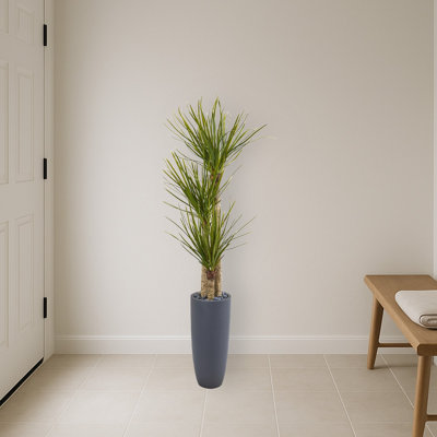 Yucca Artificial Tree in Bullet Planter