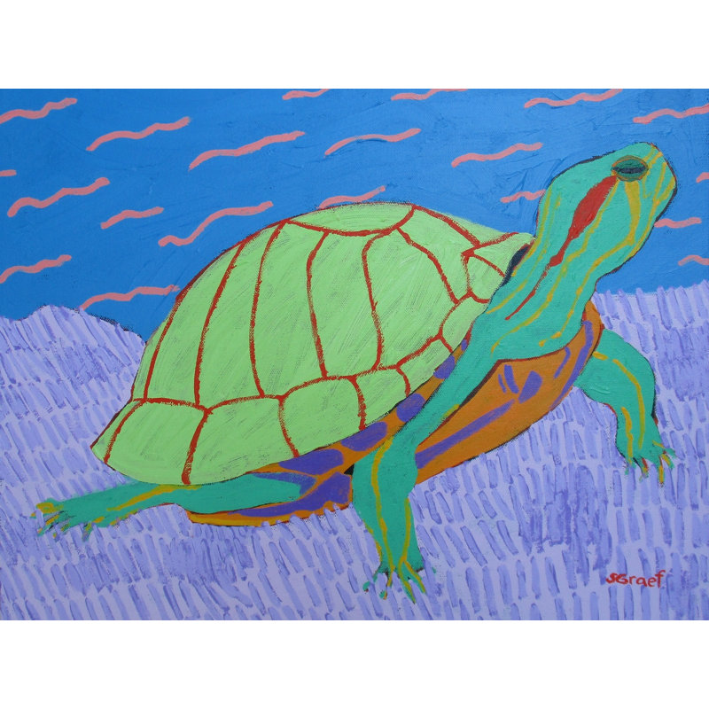 Turtle Print by Sue Graef, 24" H x 32" W, No Mat