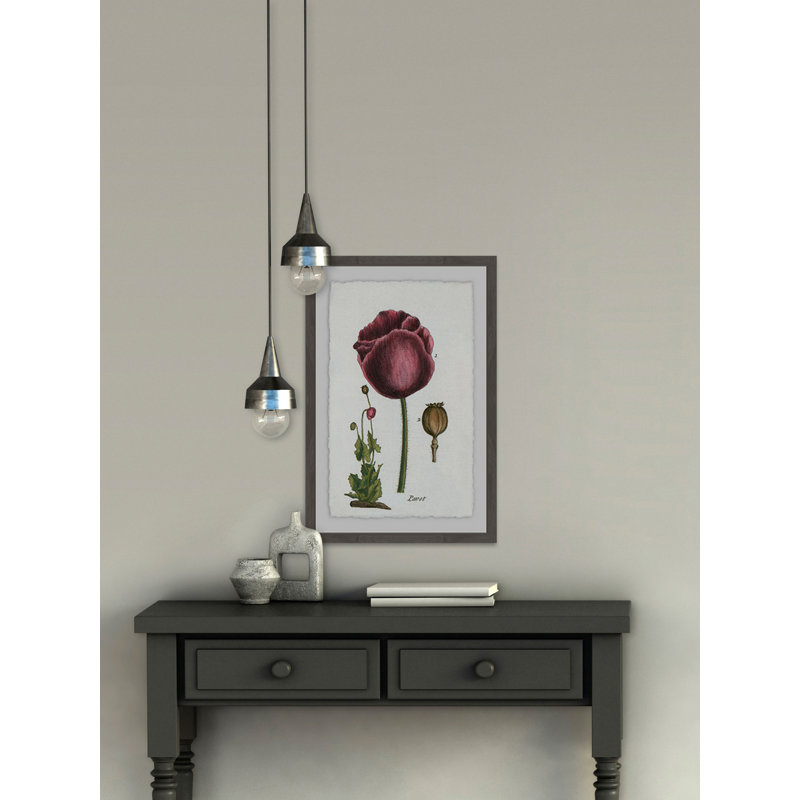 Tulipe Mauve - Single Picture Frame Print, 91 cm H x 61 cm W x 4 cm D