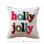 Cotton Throw Square Pillow Cover & Insert