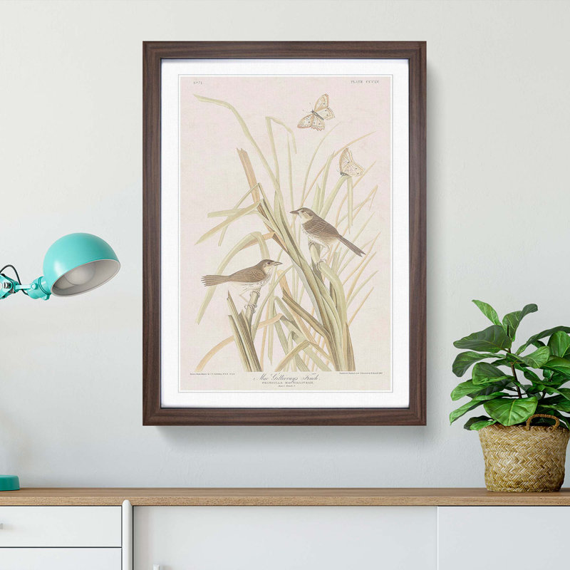 Finches & Butterflies by John Audubon - Framed Print, 36cm H x 27cm W x 2cm D, Walnut Framed