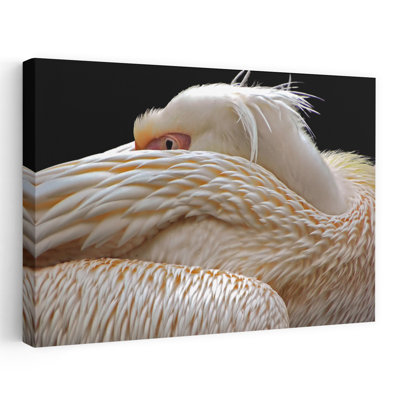 Peaceful White Pelican Elegant Peaceful Serene Bird Pelican Nature Wildlife Wall Art Print 1 Piece Wrapped Canvas Wall Art