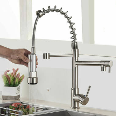 AlenArtWater Pull Down Kitchen Faucet - Wayfair Canada