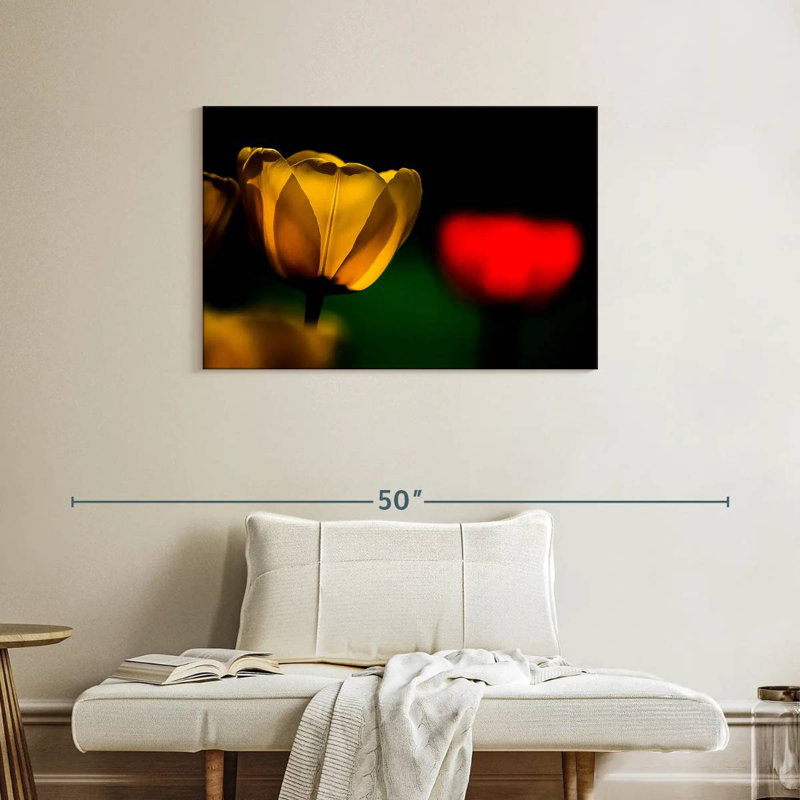 Harnek tulipes jaunes en fleurs, H 24 po x l 36 po