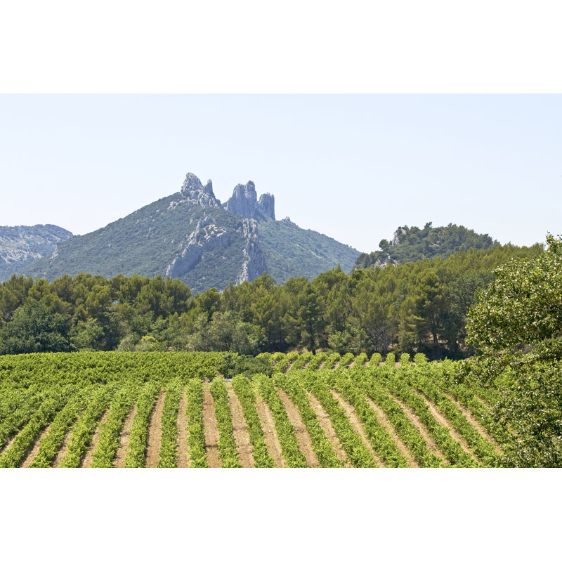 Vineyard by Visuall2 - Wrapped Canvas Print, 20cm H x 30cm W