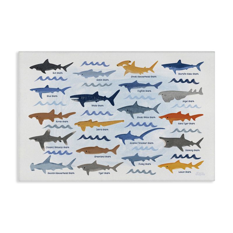 Art mural sur toile, "Divers requins" par Carrie Cantwell, H 24 po x l 36 po