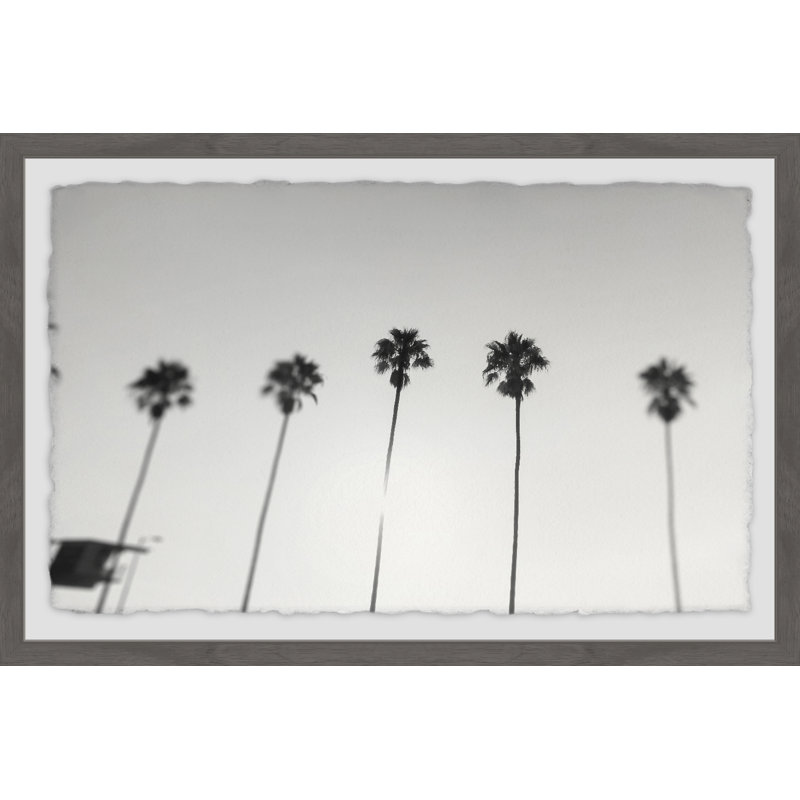 Tall Palm Trees 1 Piece Single Picture Frame Wall Art, 61cm H x 91cm W x 3.81cm D